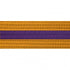 BOLD LOOK GOLD BELTS WITH STRIPE/PURPLE STRIPE-1